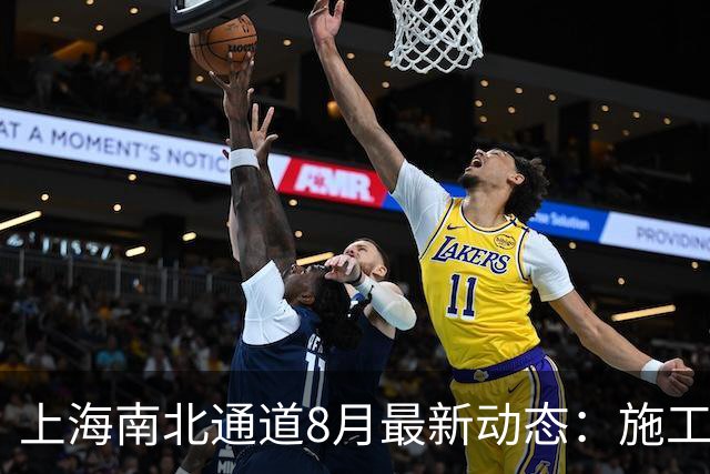 上海南北通道8月最新动态：施工进展、出入口规划及征收信息